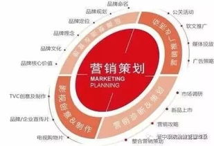 营销策划核心 从基础概念到实践策略